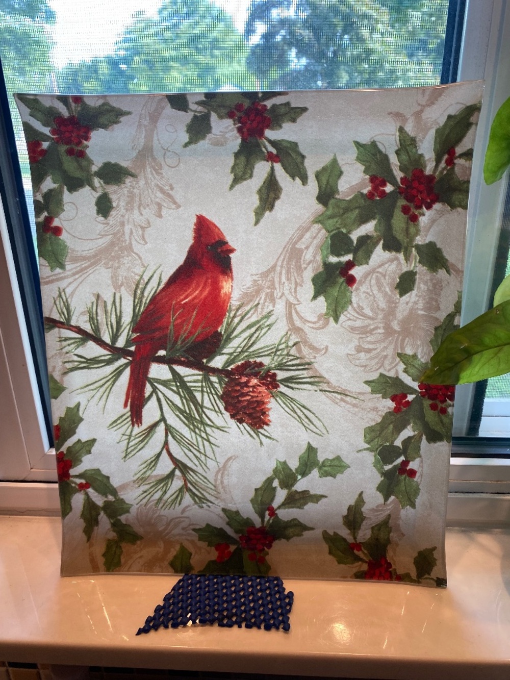 Cardinal Glass 10” by 12” serving Tray or windowsill accent NEW
